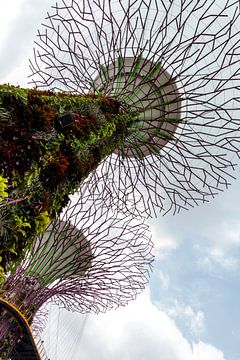 Moderne architectuur in de botanische tuin in Singapore.