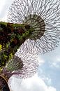 Moderne Architektur im botanischen Garten in Singapur. von Eyesmile Photography Miniaturansicht