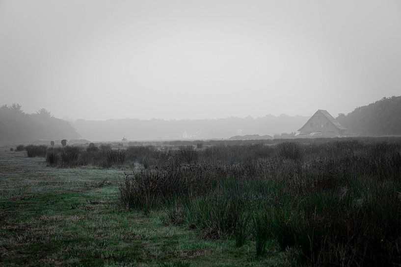 Morning mist by Rolf Berends