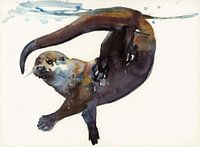 Otter Study