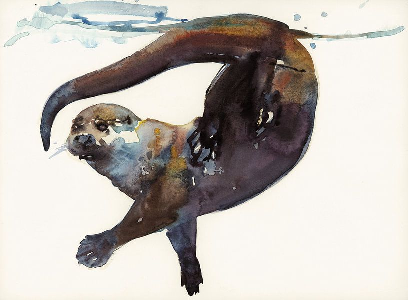 Otter in Bewegung von Mark Adlington