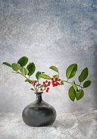 Ilex