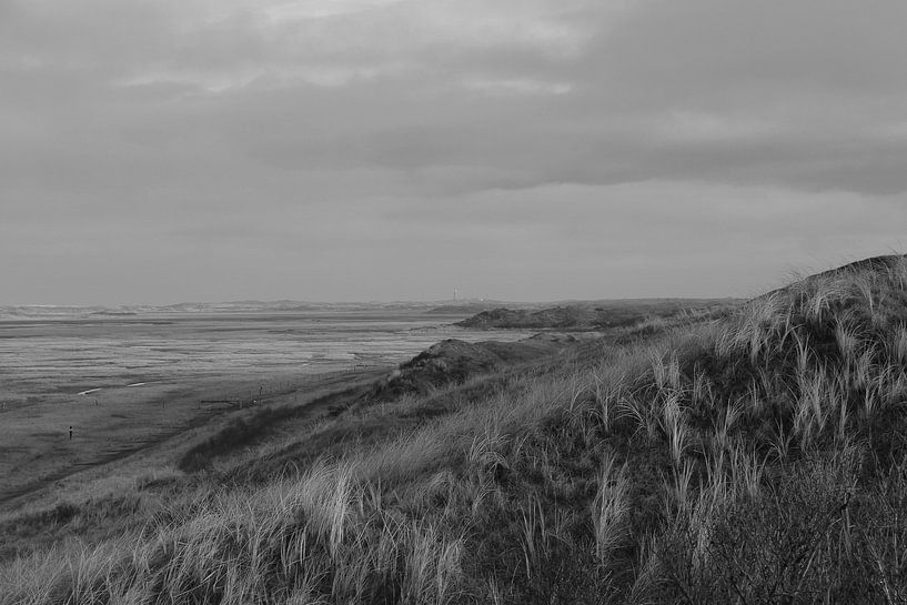 View over the slufter with Texel's lighthouse in the distance by Jose Lok