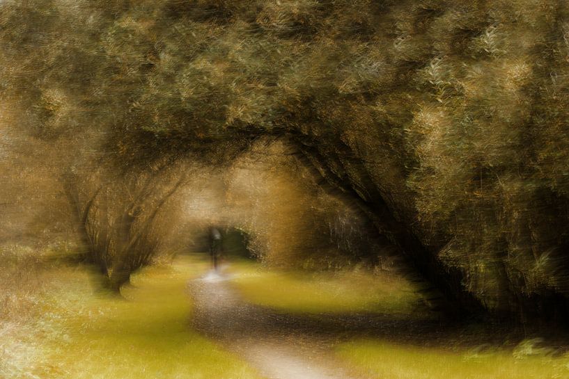 Herfst in het bos van Ingrid Van Damme fotografie