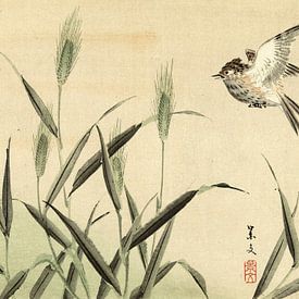 Bird flying near grasses by Matsumura Keibun - 1892 by Gave Meesters