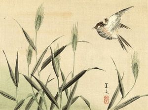 Oiseau volant près des herbes par Matsumura Keibun - 1892