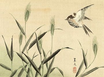 Vogel fliegt in der Nähe von Gräsern von Matsumura Keibun - 1892