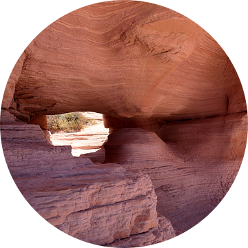 Details rots van Frank's Awesome Travels