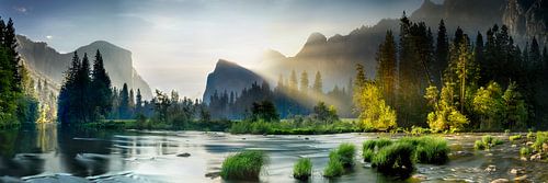 Yosemite National Park USA Californië van Voss fotografie