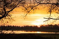 Gouden zonsopkomst
