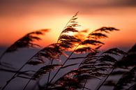 Warme zonsondergang op een koude kille winterse dag van Koen Hoekemeijer thumbnail