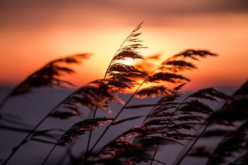 Warme zonsondergang op een koude kille winterse dag