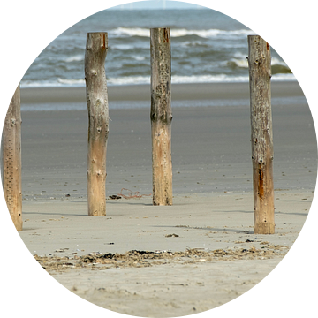 Houten palen op het strand in Zeeland