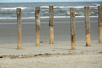 Hölzerne Pfähle am Strand von Zeeland von Patricia Hofmeester