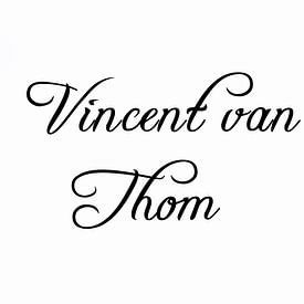 Vincent van Thom Profilfoto