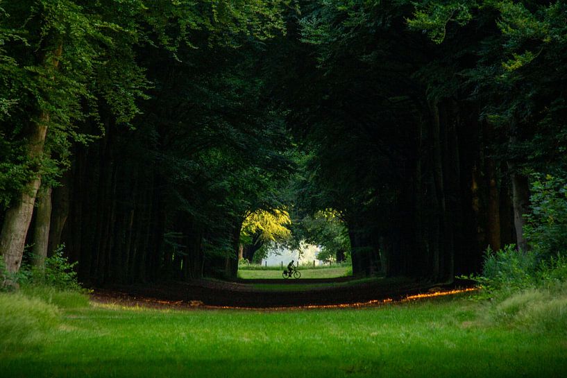 ochtendgloren Heilooerbos by Jan Kraakman