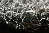 bulles de glace vivantes
