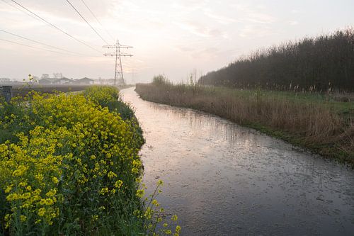 De ochtendhemel weerspiegeld in de Runnerburgersloot