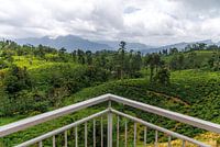 Sri Lanka enchants with its rolling tea plantations and countless waterfalls hidden in the verdant highlands.