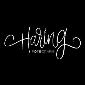 Pim Haring Profilfoto
