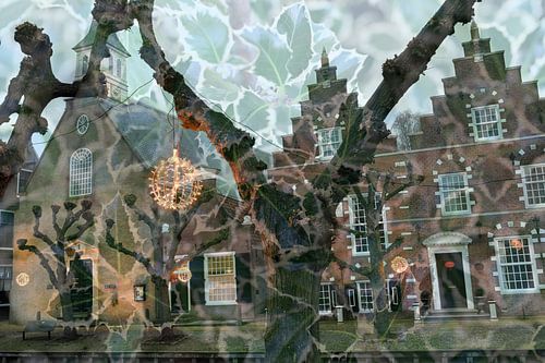Abstracte fotografie | Straatfotografie | Knotwilgen langs gracht van Sloten