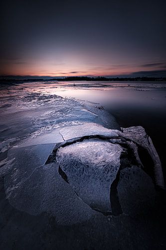 Winter in de Biesbosch