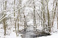 Winters bos met beekje van Guido Rooseleer thumbnail