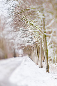Winterwunderland | Linschoten | Pastell