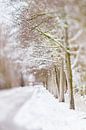Winter wonderland | Linschoten | Pastel van Gabry Zijlstra thumbnail
