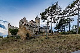 Liechtenstein Castle by Roland Brack
