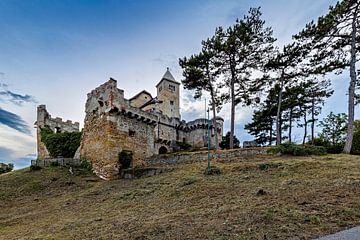 Kasteel van Liechtenstein van Roland Brack