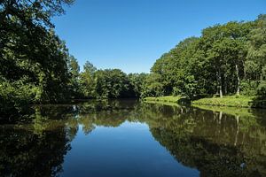 der alte Fluß... (2) 
