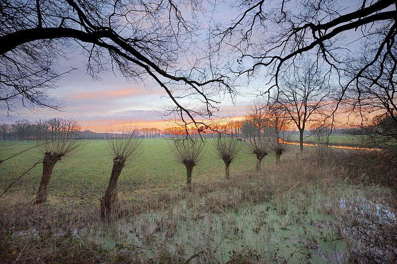 Roffelaarskade van Willem van Leuveren Fotografie