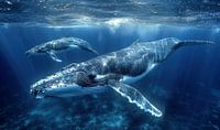 Mutterliebe unter Wasser