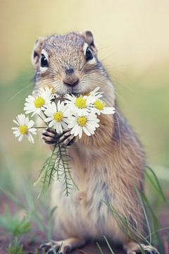 Süßes Eichhörnchen mit Blumenstrauß von Poster Art Shop