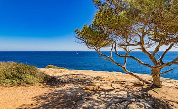 Mer Méditerranée, belle vue sur la mer à la côte de Majorque sur Alex Winter