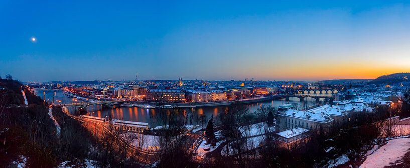 Panorama vanuit het Letna Park by Roy Poots