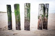 Strand van Marco van den Arend thumbnail