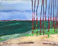Dune landscape