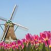 Hollandse windmolen,  blauwe lucht,  voorgrond met bloeiende tulpen van Henk van den Brink