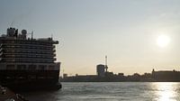 Evening cruise on the Nieuwe Maas with Euromast in the distance