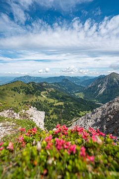 Alpenrozen met uitzicht op Bad Hindelang, Grünten en de Allgäu van Leo Schindzielorz