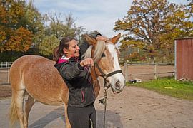 Preparation of the horse before training