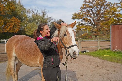 Voorbereiding van het paard vóór de training