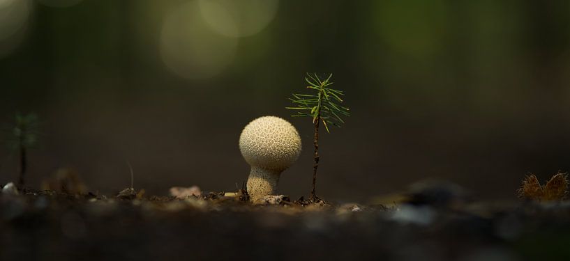 Fraternally side by side by Ronald Pit