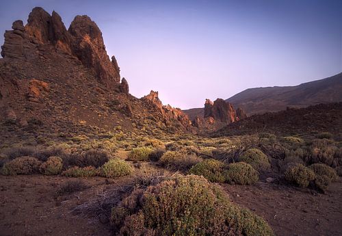 Bergen en struiken in het Nationaal Park Las Canadas del Teide tijdens