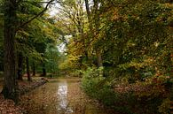 Een waterpartij op een landgoed in de herfst van Gerard de Zwaan thumbnail