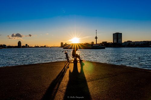 Rotterdam Wilhelminapier