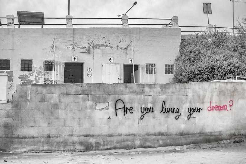 Are you living your dream? by Frank Noordanus