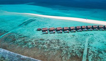 Dromerig tropisch eiland van de Malediven van Patrick Groß